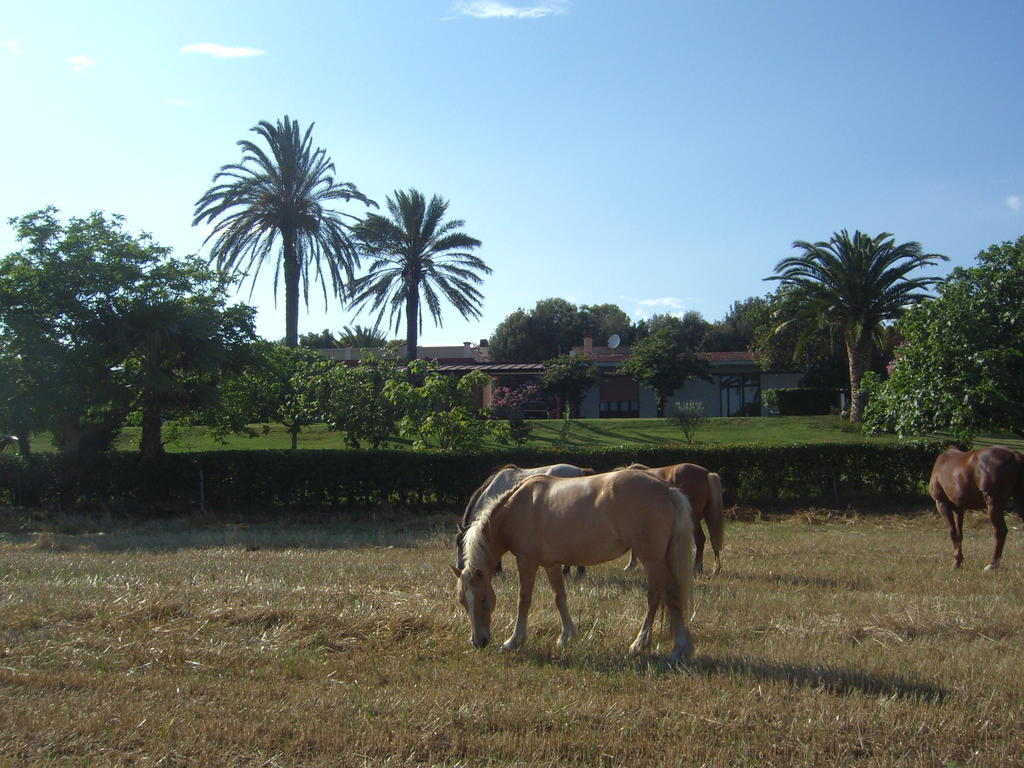 Bed and Breakfast Santa Igia - Country House à Elmas Extérieur photo